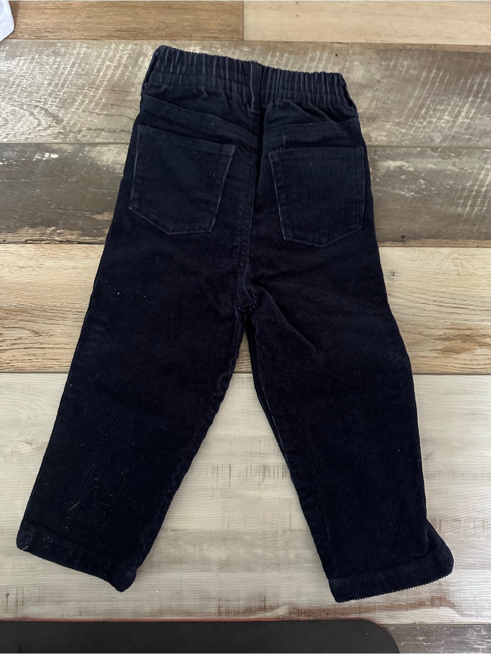 Kids navy Corduroy Pull-On Pants